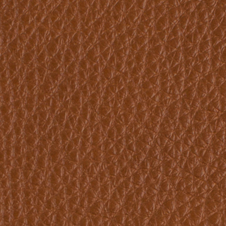 Leder Santarina Cognac